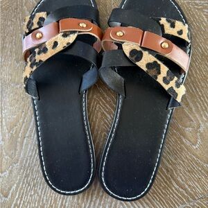 Leopard Print Black and Brown Women's Sandals